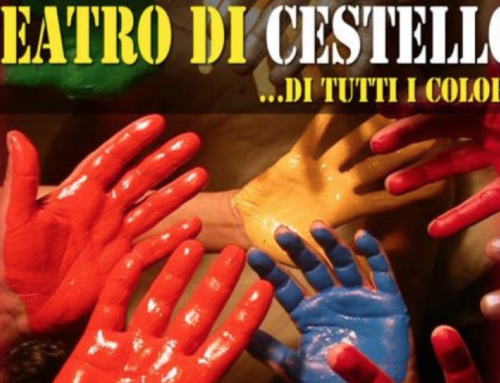 Un Cestello di tutti i colori…